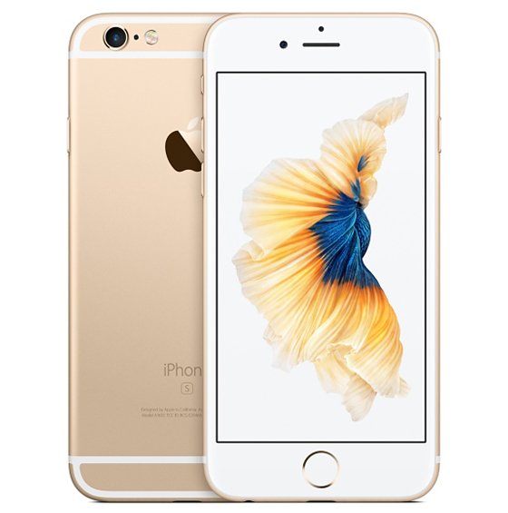 iPhone 6 Plus